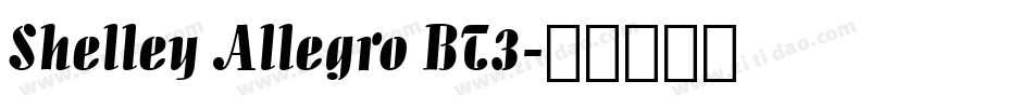 Shelley Allegro BT3字体转换